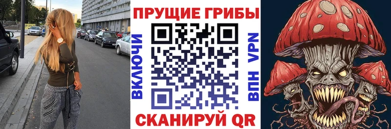 Псилоцибиновые грибы Psilocybine cubensis  ссылка на мегу сайт  Новосибирск  дарнет шоп 