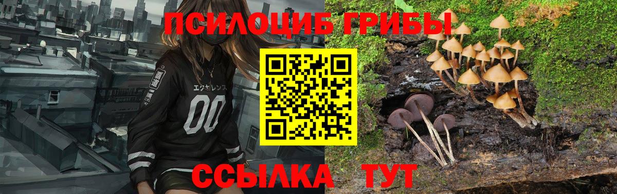 Псилоцибиновые грибы MAGIC MUSHROOMS  Новосибирск 