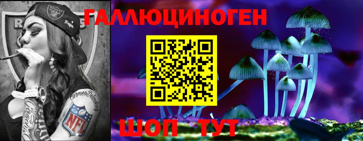 Псилоцибиновые грибы GOLDEN TEACHER Новосибирск
